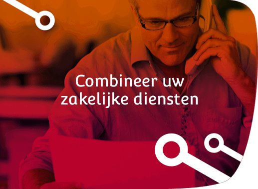 pic-zakelijke-diensten zakelijke diensten