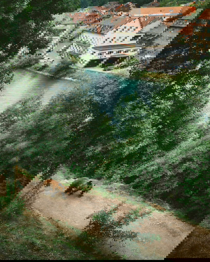 Zwitserland2