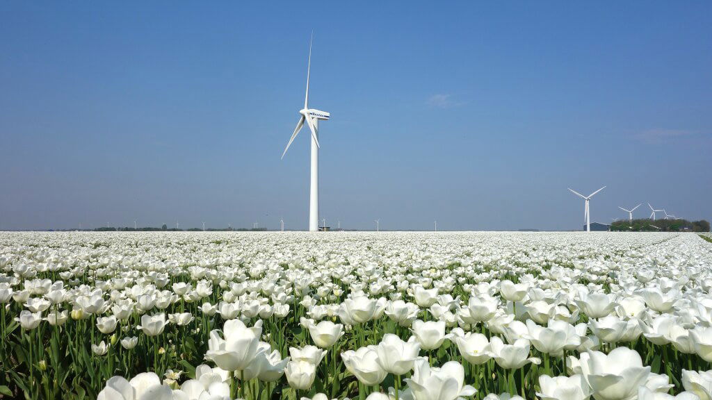 Nederland3