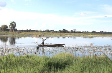 MAUN 2