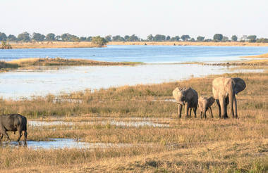 MAUN 3