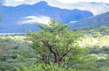 SOUTPANSBERG MOUNTAIN RANGE 2