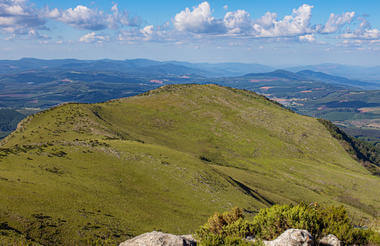 TZANEEN