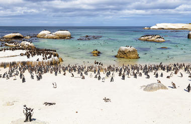 cape_town-istock-956167302