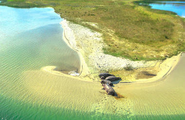isimangaliso_wetland_park-istock-1058132848 st lucia