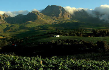 stellenbosch wine route beautiful view_2