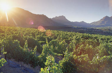 stellenbosch wine routes B