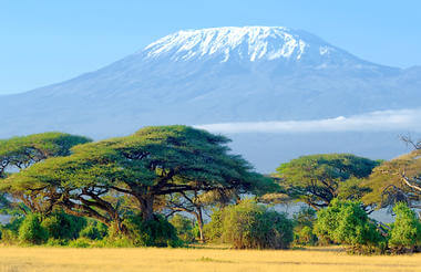 Amboseli NP 2