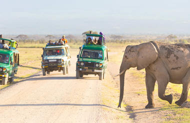 Amboseli NP