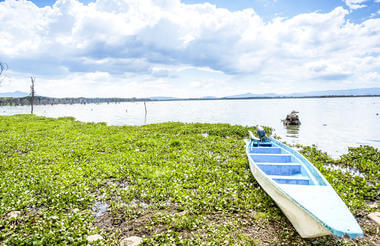 Lake Naivasha