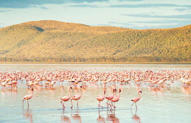 Nakuru