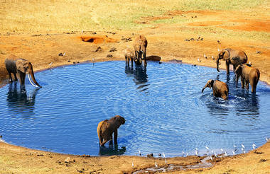 Tsavo East