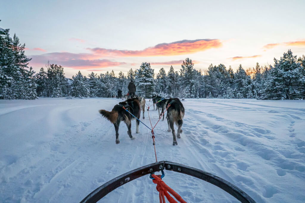08-Alta-029-