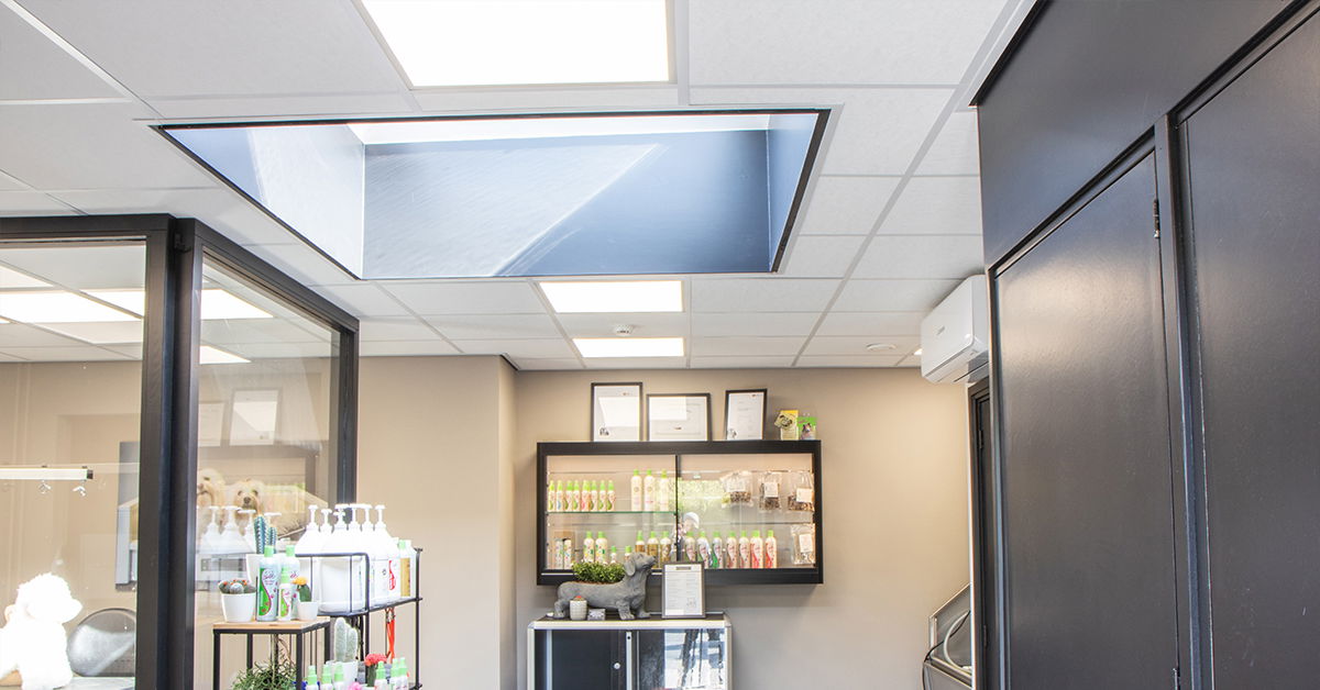 LED Panel Lights