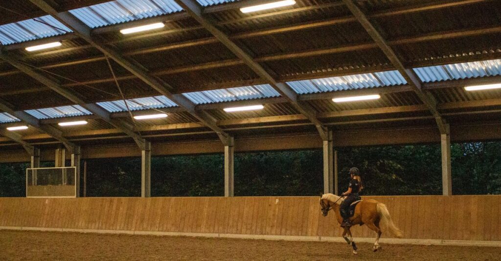 sportverlichting