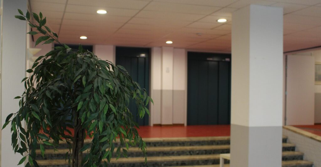 VvE Sparrenhof led verlichting saled